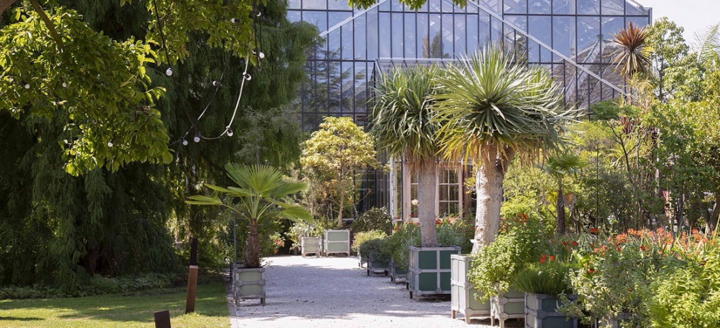 Afbeelding van Dagtocht: Hortus Botanicus