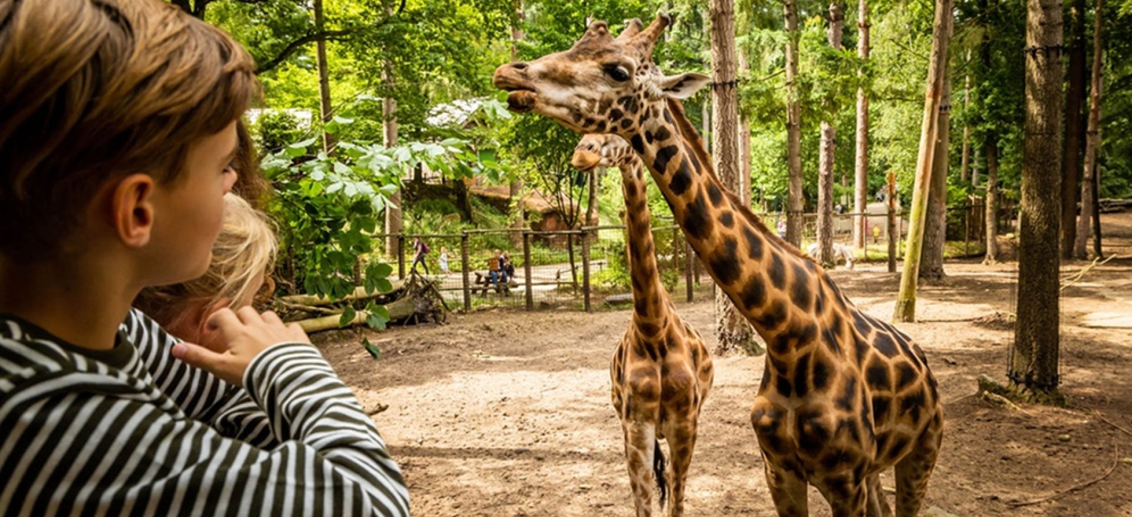 Afbeelding van Dagtocht: DierenPark Amersfoort