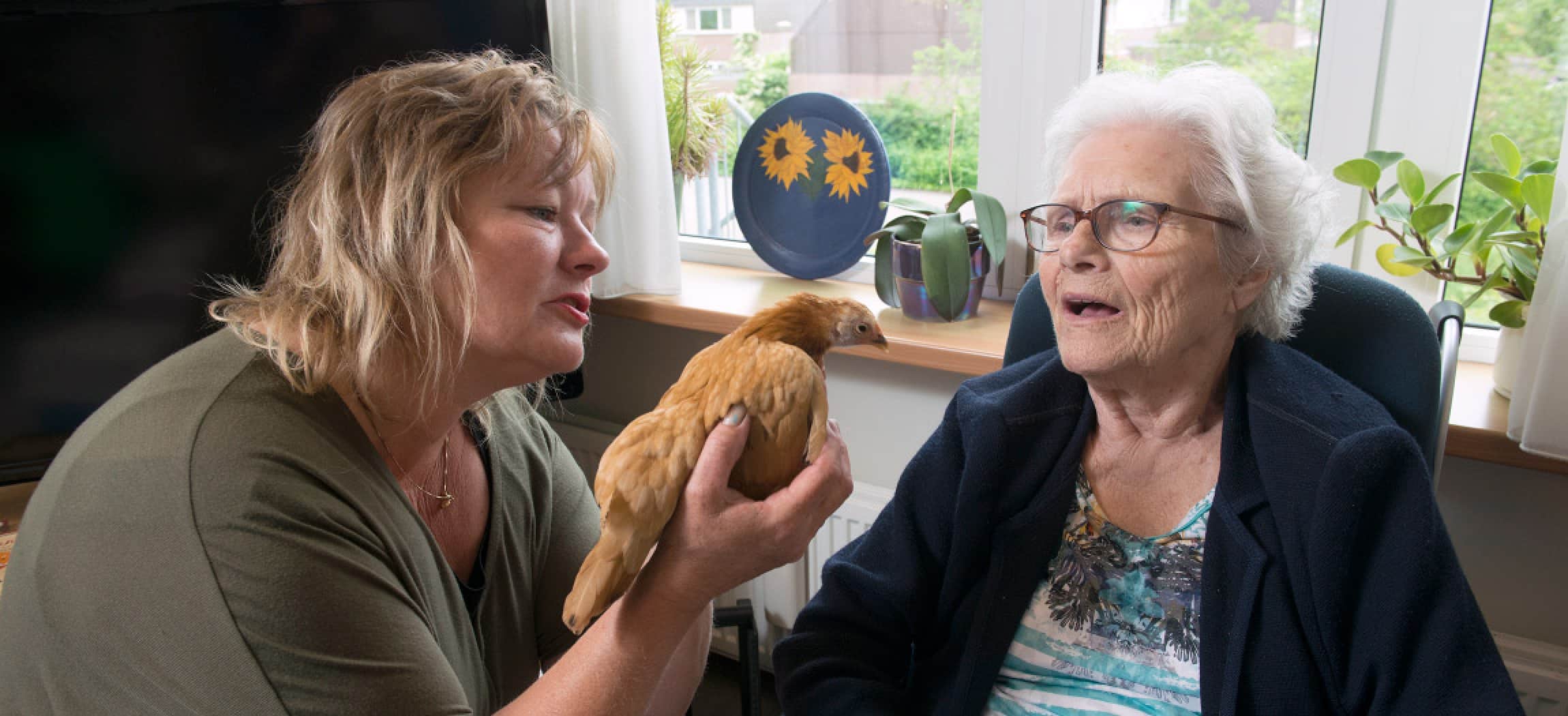 Oudere vrouw kijkt naar kipje tijdens dierenbezoek in verpleeghuis
